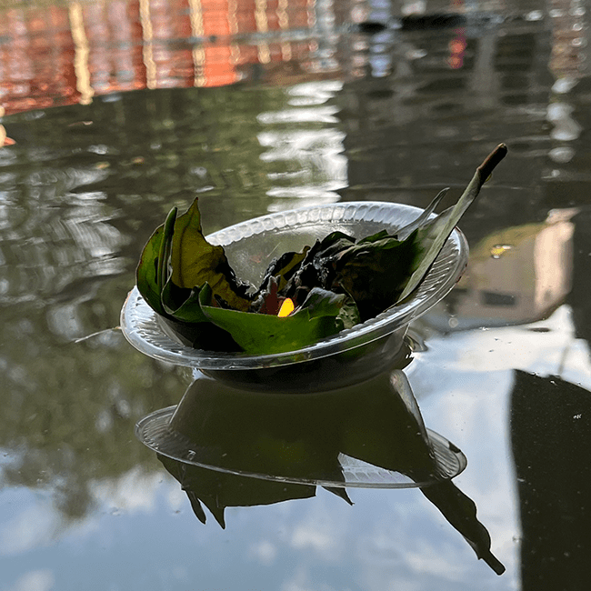 Tripindi Pooja