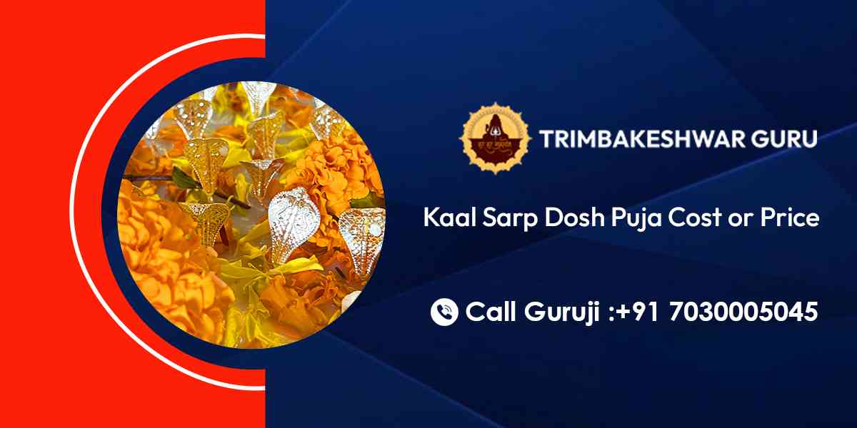 Kaal Sarp Dosh Puja Cost or Price
