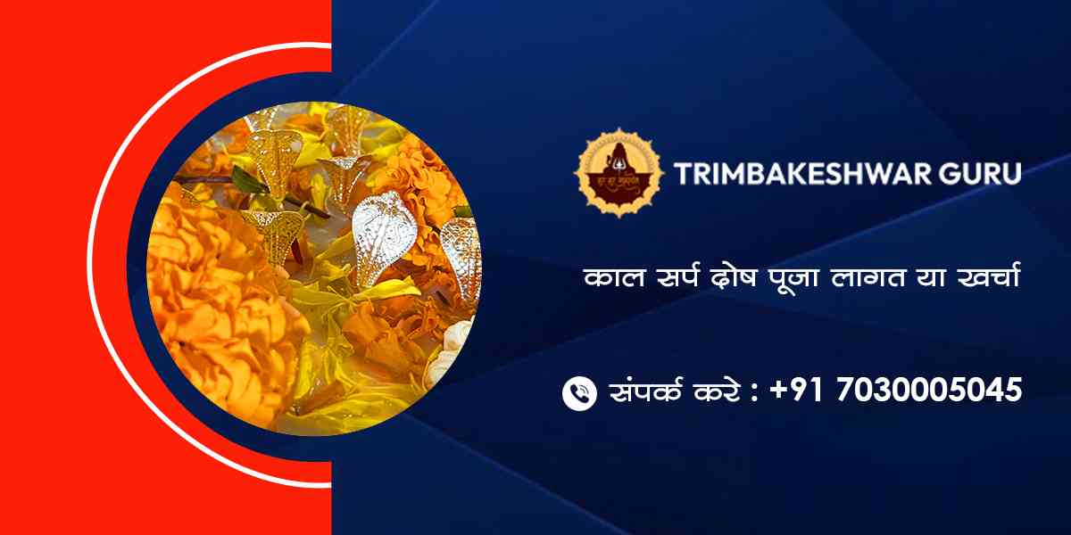 काल सर्प दोष पूजा लागत या खर्चा